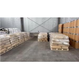 衣康酸,Itaconic Acid