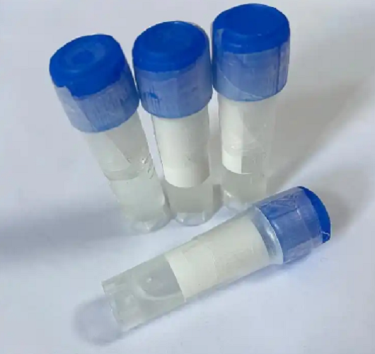 Tau微管结合区-Tau243,MTBR-Tau243