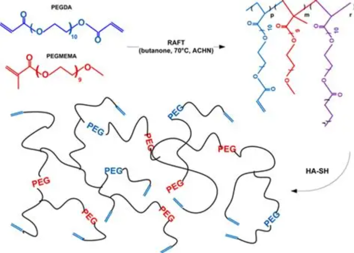 聚乙二醇-可逆加成-断裂链转移试剂,PEG-RAFT