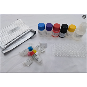 牛骨形成蛋白15ELISA试剂盒