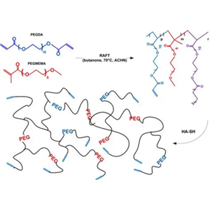 聚乙二醇-可逆加成-断裂链转移试剂,PEG-RAFT
