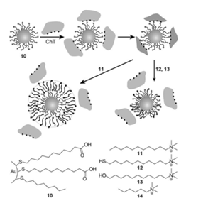 mPEG5k-b-PLGA3k-PLL1k，甲氧基聚乙二醇-聚乳酸-聚赖氨酸三嵌段共聚物
