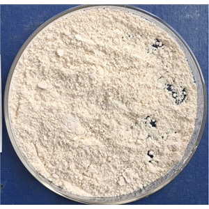 四氢-5,9-甲桥-1H-吡喃并[3,4-D]氧杂卓-1,3,6,8(4H)-四酮,3-(Carboxymethyl)-1,2,4-cyclopentanetricarboxylic acid 1,4:2,3-dianhydride