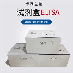 人白细胞介素1α(IL-1α)ELISA试剂盒,Human IL-1α  ELISA Kit