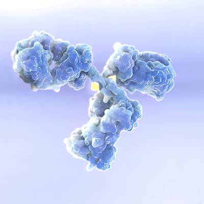 人CD40 Ligand蛋白,CD40 Ligand