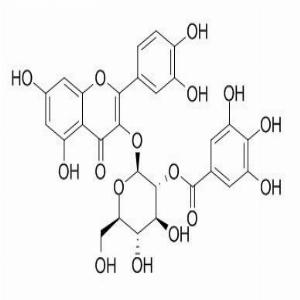2-O-没食子酰基金丝桃苷,2-O-Galloylhyperin