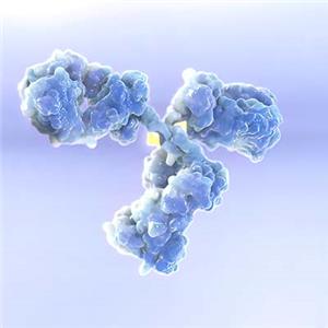 Biotinylated人CD40 Ligand / TNFSF5蛋白, His, Flag Tag