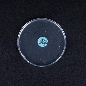 羧基化纳米纤维素,Carboxylated-Modified Nanocellulose, CNC
