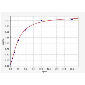 人细胞色素P4502B6(CYP2B6)ELISA试剂盒 YB70298Hu,CYP2B6