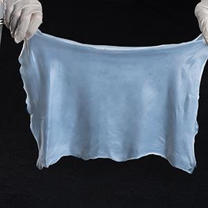 细菌纤维素薄膜,Bacterial Cellulose