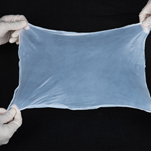 细菌纤维素薄膜,Bacterial Cellulose