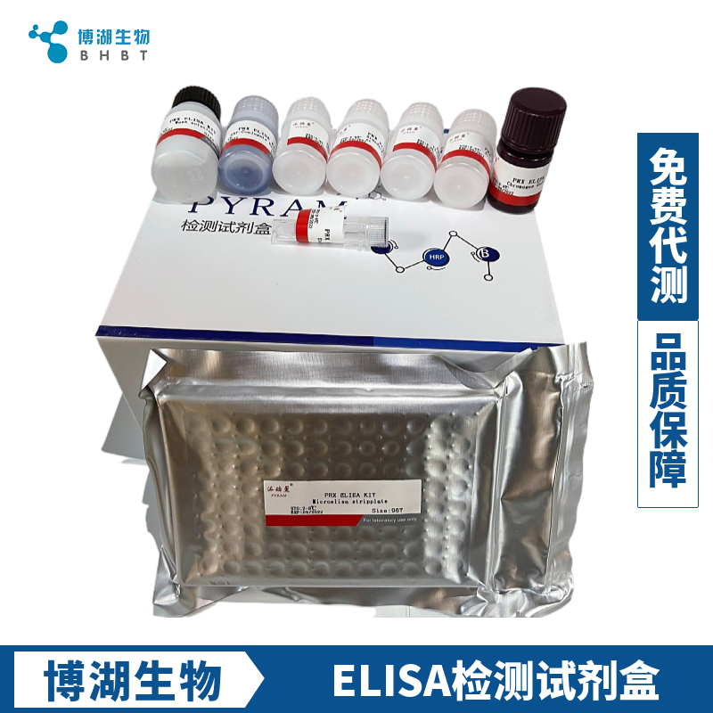 大鼠爱帕琳肽(APLN)ELISA试剂盒,Rat APLN  ELISA Kit