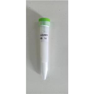 索马鲁肽/司美格鲁肽