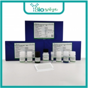 人5-羟色胺受体2A(HTR2A)ELISA试剂盒 YB70662Hu