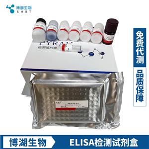 大鼠半乳糖凝集素9(GAL9)ELISA试剂盒