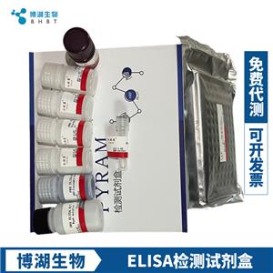 大鼠爱帕琳肽(APLN)ELISA试剂盒,Rat APLN  ELISA Kit
