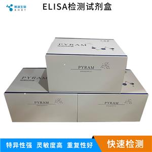 大鼠10kDa干扰素γ诱导蛋白(IP-10/CXCL10)ELISA试剂盒,Rat IP-10/CXCL10  ELISA Kit