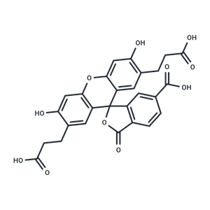 化合物 BCECF|T18922|TargetMol