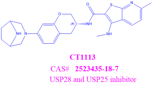 CT1113,N-((3R)-7-(3,8-diazabicyclo[3.2.1]octan-3-yl)chroman-3-yl)-6-methyl-3-(methylamino)thieno[2,3-b]pyridine-2-carboxamide