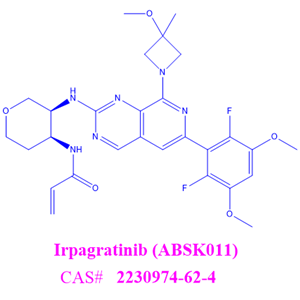 Irpagratinib (ABSK011) 