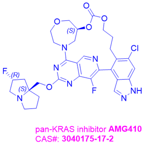 pan-KRAS inhibitor AMG410