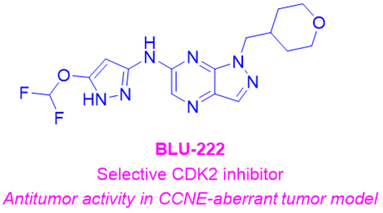 BLU-222,N-(5-(difluoromethoxy)-1H-pyrazol-3-yl)-1-((tetrahydro-2H-pyran-4-yl)methyl)-1H-pyrazolo[3,4-b]pyrazin-6-amine