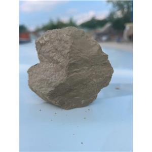 硅藻土颗粒,Diatomaceous earth