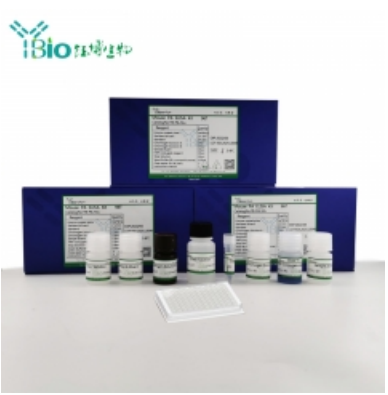 人异柠檬酸脱氢酶1(IDH1)ELISA试剂盒 YB70611Hu,IDH1