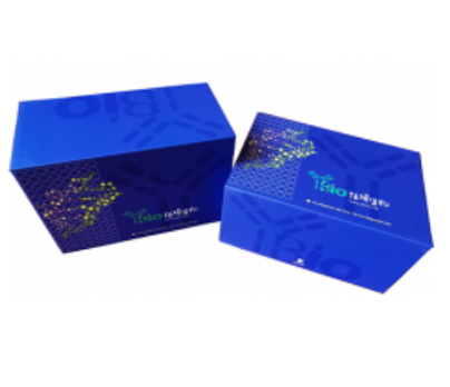 人腓骨蛋白3(FBLN3)ELISA试剂盒 YB70449Hu,FBLN3