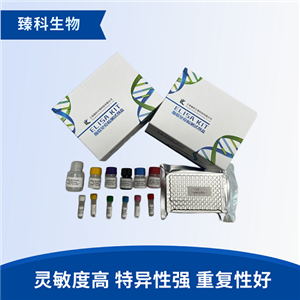 大鼠瘟热病毒(CDV）elisa试剂盒