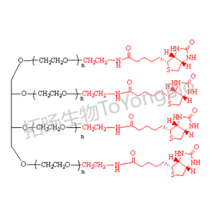四臂聚乙二醇生物素,4Arm PEG-Biotin