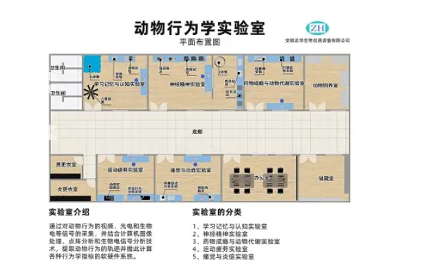 AI人工智能动物行为学实验室 AI人工智能动物行为学视频分析系统 AI人工智能动物行为学分析软件,AI-Enabled Animal Behavioral Laboratory
