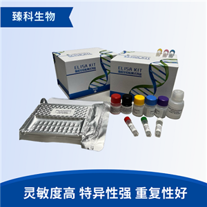 大鼠仙台病毒(HVJ）elisa试剂盒