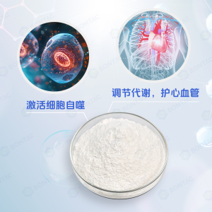 亚精胺三盐酸盐,Spermidine