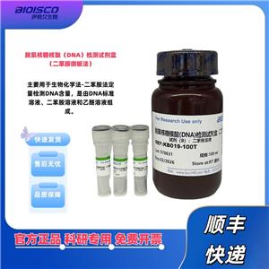 脱氧核糖核酸（DNA）检测试剂盒
