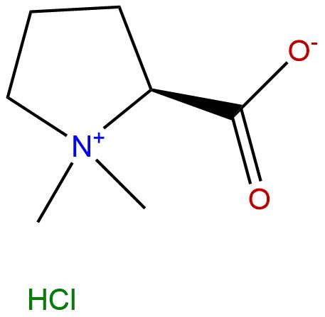 盐酸水苏碱,Stachydrine hydrochloride