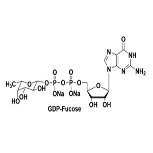 鸟苷二磷酸岩藻糖,GDP-Fuc