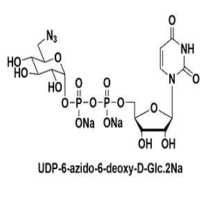 537039-67-1，UDP-6-N3-Glucose，尿苷二磷酸-6-N3-葡萄糖
