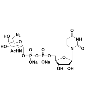 尿苷二磷酸-6-叠氮-N-乙酰半乳糖胺,UDP-6-N3-GalNAc