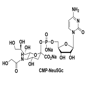 CMP-N-羟乙酰神经氨酸,CMP-Neu5Gc