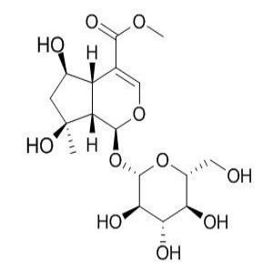 山栀苷甲酯,shanzhiside methyl ester