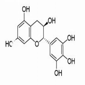 没食子儿茶素GC,Gallocatechin (GC)