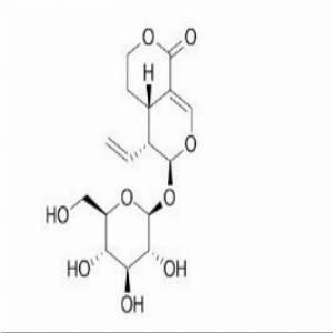 獐芽菜苷，当归甙,Sweroside
