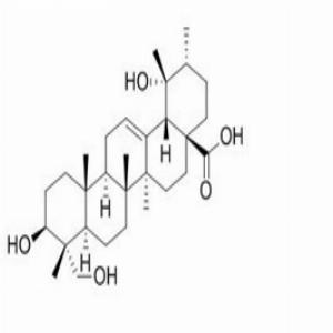 铁冬青酸,Rotundicacid
