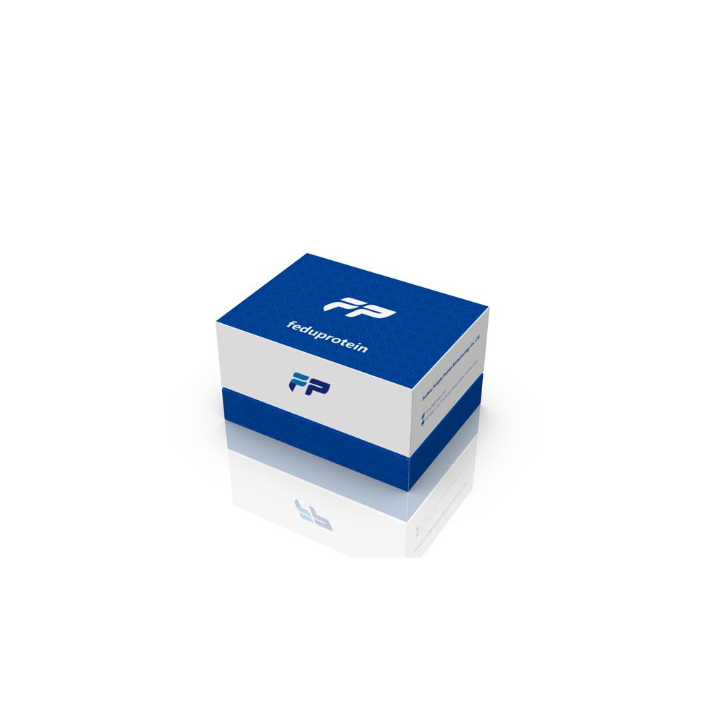 肠球菌通用探针法qPCR试剂盒(不含内参）,Enterococcus spp. Probe qPCR Kit