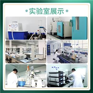 阿尼西坦,Aniracetam
