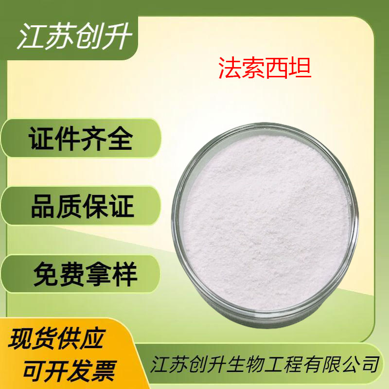 法索西坦,Fasoracetam
