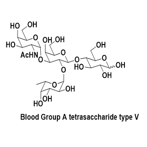 血型A四糖型V,Blood Group A tetrasaccharide type V