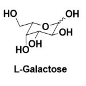 L-半乳糖,L-Galactose