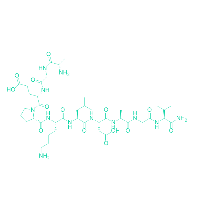 胎儿抗原模拟物多肽,Pneumadin (human)
